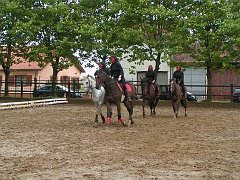 PO 2008 (43)